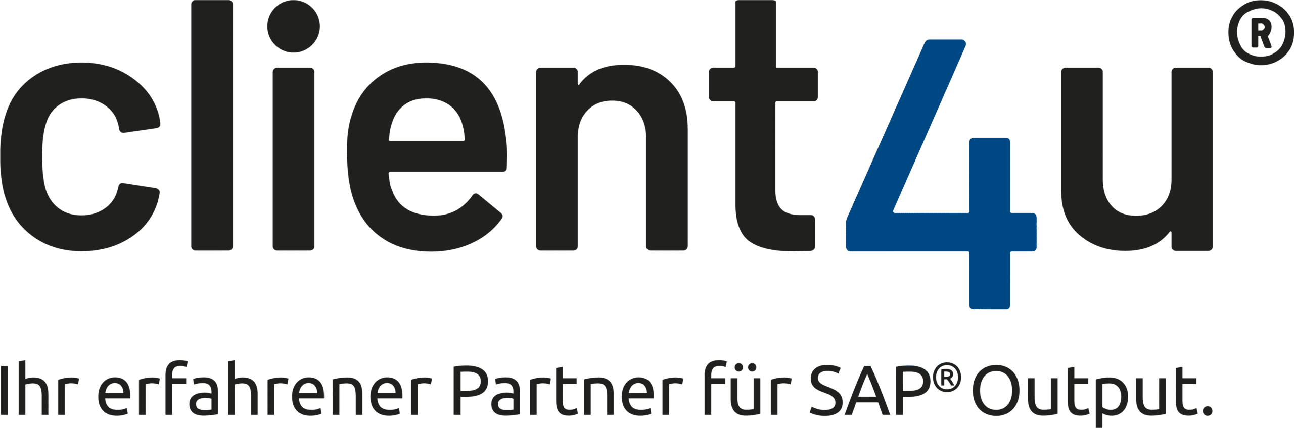 client4u IT-Consulting GmbH_logo